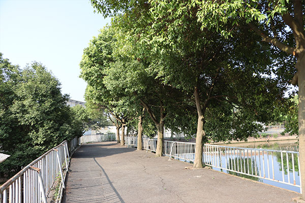 四川蜀都卫生学校绿色校园